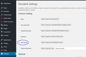 installing wordpress for the first time permalinks